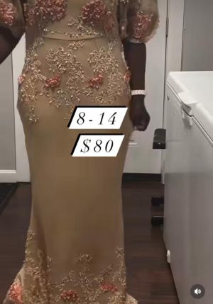 Short-Sleeve Party Gown (Colour Light Brown)